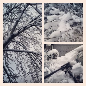 The slick, snowy mess that Mother Nature decided to drop on us, was my morning warm-up before hitting the gym for the first time in years.
